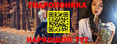 ГАЛЛЮЦИНОГЕННЫЕ ГРИБЫ Северобайкальск