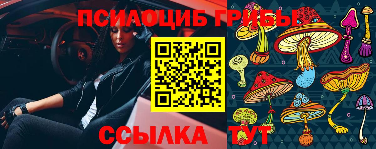 Ангарск  Псилоцибиновые грибы Cubensis  Вход с VPN 